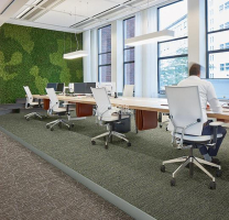 Tessera Nexus 3507 Share фото 2 | FLOORDEALER